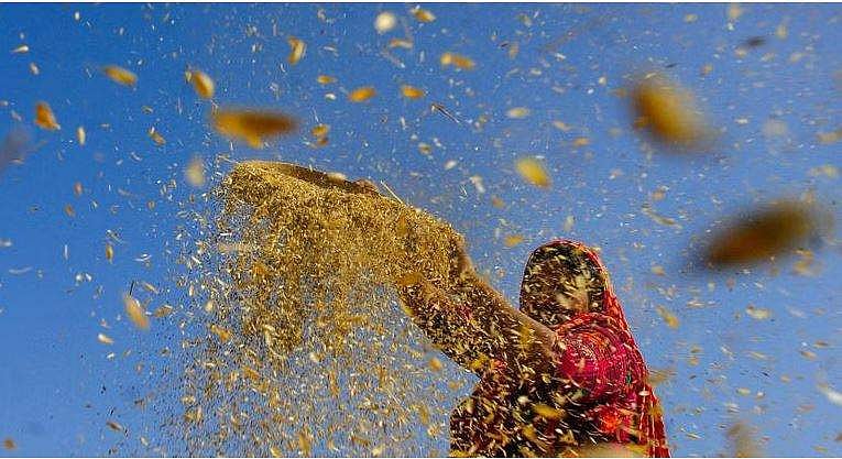 123 ஆண்டுகளுக்குப் பின் மிக வெப்பமான பிப்ரவரி; உணவு கையிருப்பிலும் சிக்கல்?