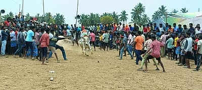 எருது விடும் விழா: சீறிப்பாய்ந்த காளைகள்; 30 போ் காயம்