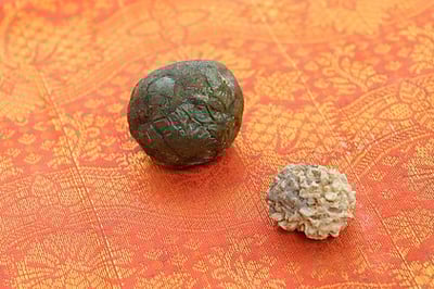 ஸ்ரீபுரம் தங்கக் கோயிலில் மூன்று முகம் கொண்ட ருத்ராட்சம்