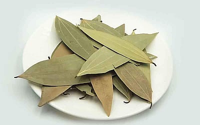 பிரிஞ்சி இலையின் மகத்துவம்