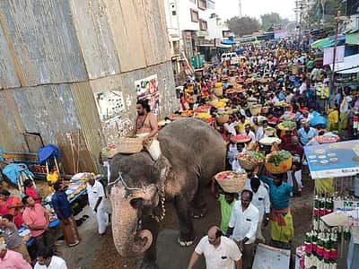 சமயபுரம் மாரியம்மன் கோயிலில் பூச்சொரிதல் விழா!