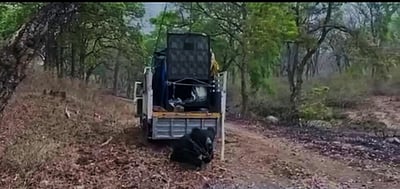 குன்னூரில் பொதுமக்களை அச்சுறுத்தி வந்த கரடி கூண்டில் சிக்கியது