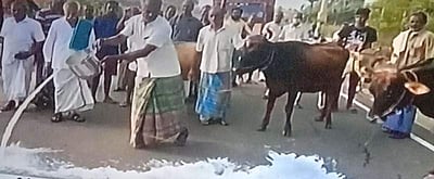 பாலை தரையில் ஊற்றி உற்பத்தியாளர்கள் போராட்டம்