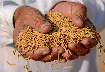 வேளாண் நிதிநிலை அறிக்கை; சில பரிந்துரைகள்