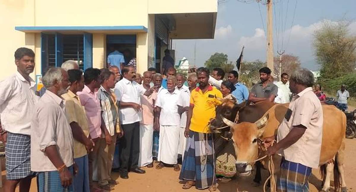 News image