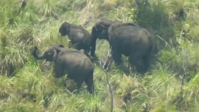 யானைகள் வழித்தடம் யானைகளுக்கே!