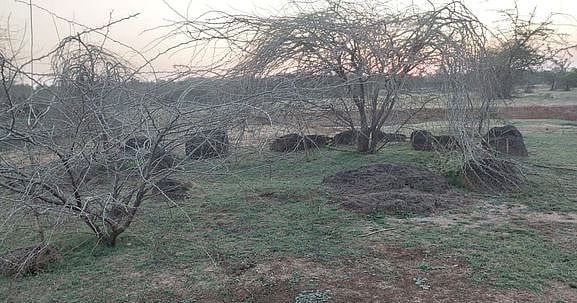 புதுகையில் பாதுகாக்கப்படாமல் அழிந்து போகும் ‘கல்வட்டங்கள்'