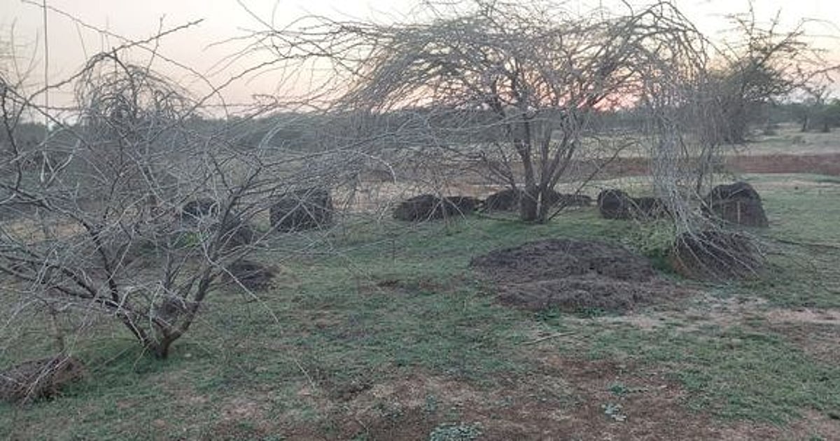 புதுகையில் பாதுகாக்கப்படாமல் அழிந்து போகும் ‘கல்வட்டங்கள்'