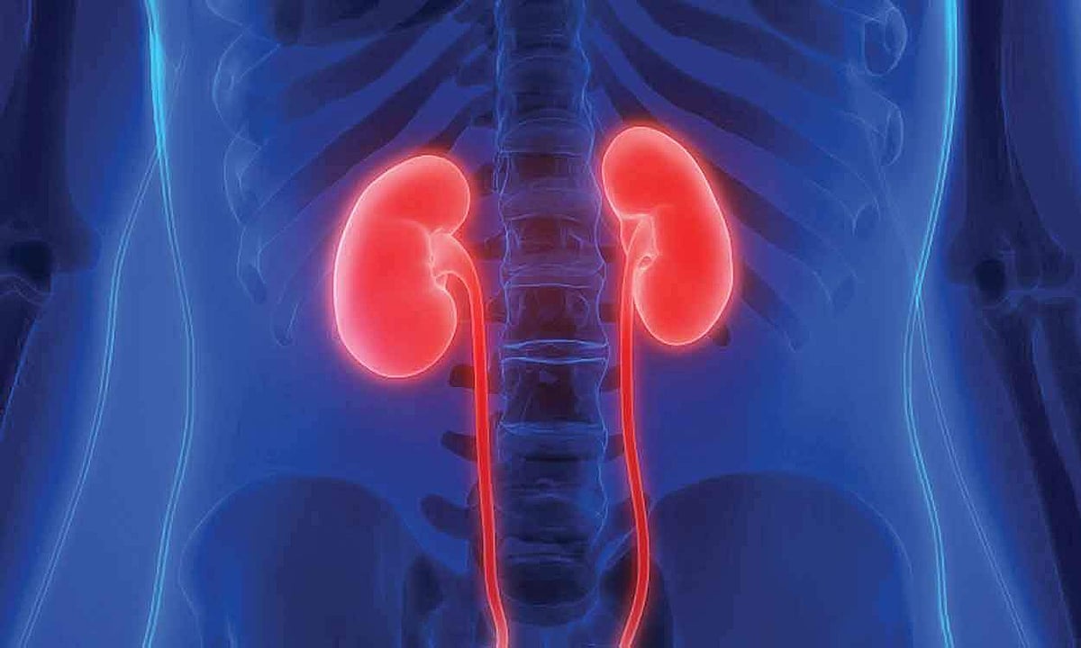 ஆயுள் காக்கும் ஆயுர்வேதம்: அடிக்கடி சிறுநீர் வருவதை கட்டுப்படுத்த...?