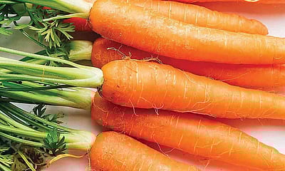 காரட்டின் மருத்துவக் குணம்