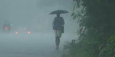சிம்லாவில் சூறைக் காற்றுடன் பலத்த மழை! இயல்பு வாழ்க்கை பாதிப்பு