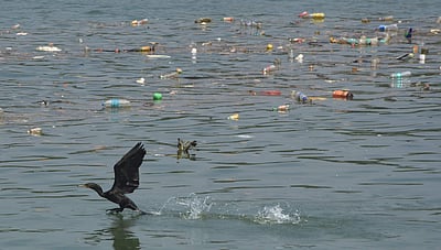 கடலில் மிதக்கும் 170 லட்சம் கோடி பிளாஸ்டிக் துகள்கள்: அதிர்ச்சி தரும் ஆய்வு முடிவு