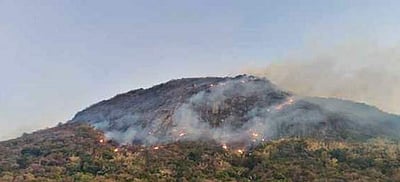 மதுக்கரை வனச் சரகப் பகுதியில் ஏற்பட்டுள்ள காட்டுத் தீ