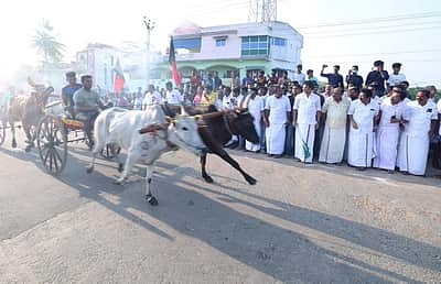 பேராவூரணியில் மாட்டுவண்டி, குதிரை வண்டி எல்கைப் பந்தயம்
