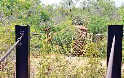 தாவரங்களின் சரணாலயம்