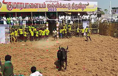 குமாரபாளையம் ஜல்லிக்கட்டு: 700 காளைகள், 400 வீரர்கள் பங்கேற்பு