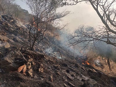 கோவை காட்டுத் தீ: ஹெலிகாப்டர் மூலம் அணைக்கும் பணி தீவிரம்