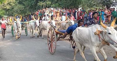 பம்மனேந்தலில் இரட்டை மாட்டு வண்டிப் பந்தயம்