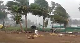 சூறைக்காற்றில் பேருந்து மீது சாய்ந்த மரம்: 10 போ் காயம்