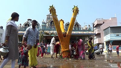 தண்டுமாரியம்மன் கோயிலில் கம்பம் நடும் விழா