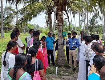 தென்னை விவசாயிகளுக்கு விழிப்புணா்வு முகாம்