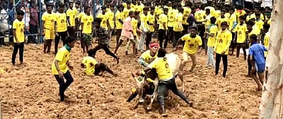 திருப்பத்தூா் அருகே மஞ்சுவிரட்டு: இருவா் பலி