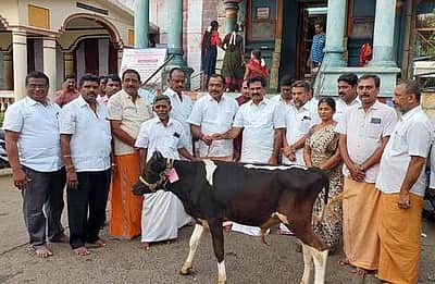 திருச்செங்கோடு அா்த்தநாரீஸ்வரா் கோயிலில் பூசாரிகளுக்கு பசுமாடுகள் தானமாக வழங்கல்