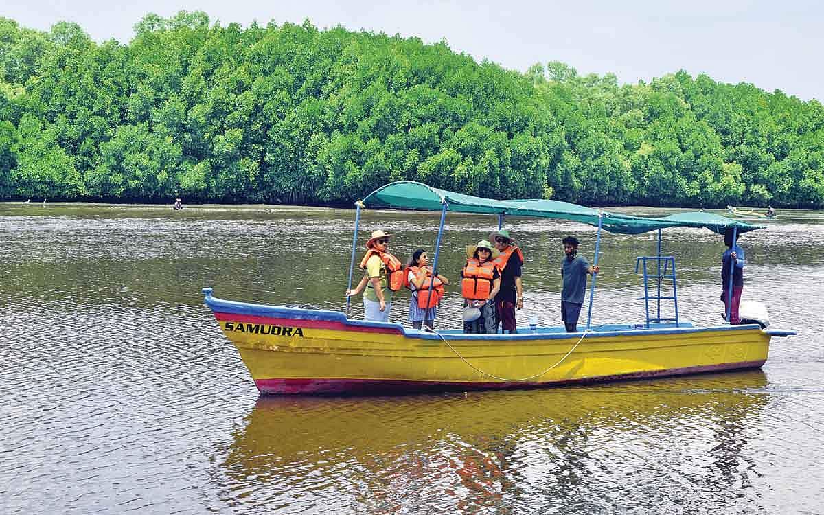 அரிக்கமேடும், அலையாத்திக் காடும்