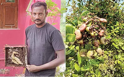 படித்ததோ பொறியியல்; பார்ப்பதோ விவசாயம்