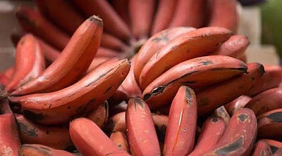 தினமும் ஒரு செவ்வாழைப்பழம் சாப்பிடுவதால்...