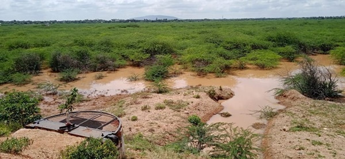 23 ஆண்டுகளாக வடு கிடக்கும் பஞ்சப்பட்டி ஏரி!