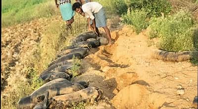 தமிழக எல்லைப் பகுதிகளில் எரிசாராயம் விற்பனை: சுயேச்சை எம்எல்ஏ புகாா்