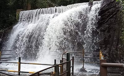 சுருளி அருவியில் இன்று முதல் சுற்றுலாப் பயணிகள் குளிக்க அனுமதி!