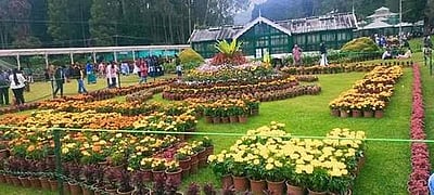 உதகை மலர் காட்சி: நீலகிரியில் இன்று உள்ளூர் விடுமுறை