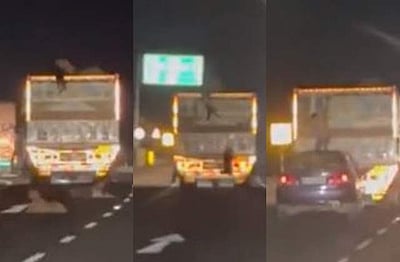 ஓடும் லாரியில் ஆடுகளைத் திருடிய நபர்: காரில் தப்பிய வைரல் விடியோ