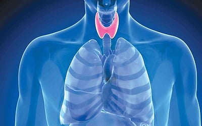 ஆயுள் காக்கும் ஆயுர்வேதம்: தைராய்டு உபாதை நீங்க...