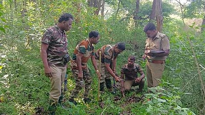 கேரளத்தில் 4 ஆண்டுகளில்
வன விலங்குகளால் 344 போ் உயிரிழப்பு: மாநிலங்களவையில் தகவல்