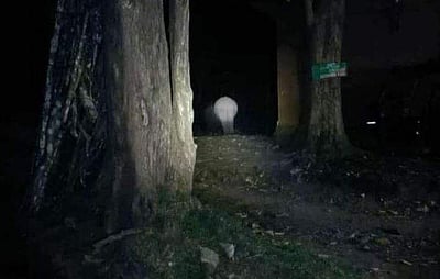 அரிசிக்கொம்பன் யானை மீண்டும் கேரளத்திற்கு வந்தது!