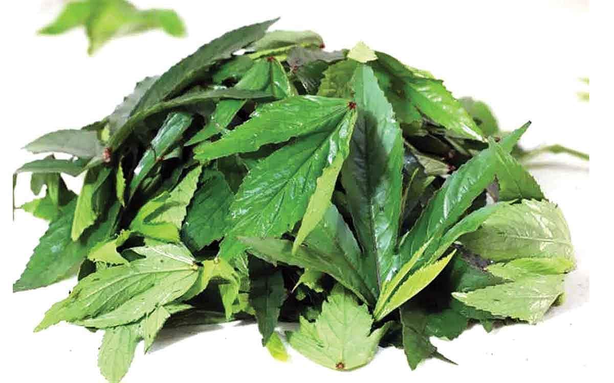 ஆயுள் காக்கும் ஆயுர்வேதம்: உப்பு சத்து அதிகரிக்க...?