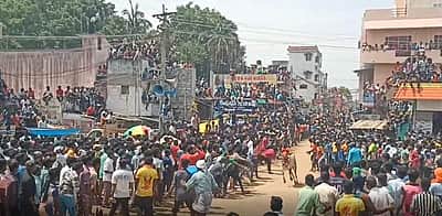 லத்தேரியில் எருது விடும் திருவிழா