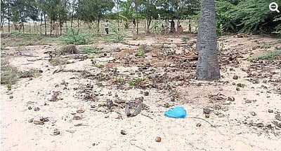 ராமேசுவரம் கடற்கரைப் பகுதியில் வெடிபொருள்? 2-வது நாளாக சோதனை