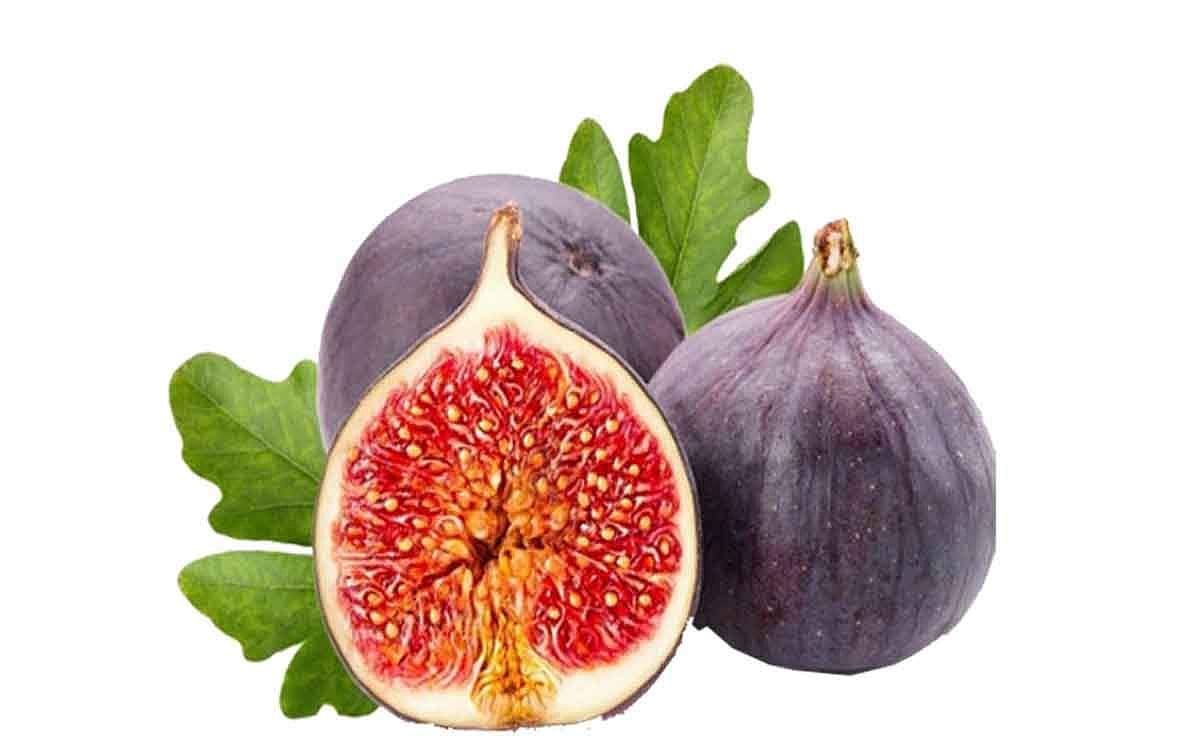 மகளிர் டிப்ஸ்