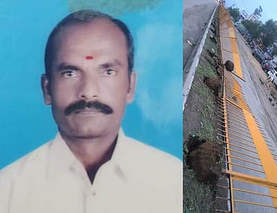 கிருஷ்ணகிரி அருகே யானை தாக்கி விவசாயி பலி