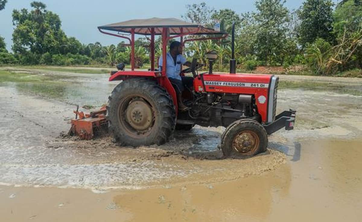 News image