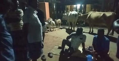 சாலைப்பணிகள் தாமதம்: கால்நடைகளுடன் பேரூராட்சி அலுவலகம் முன் போராட்டம்          