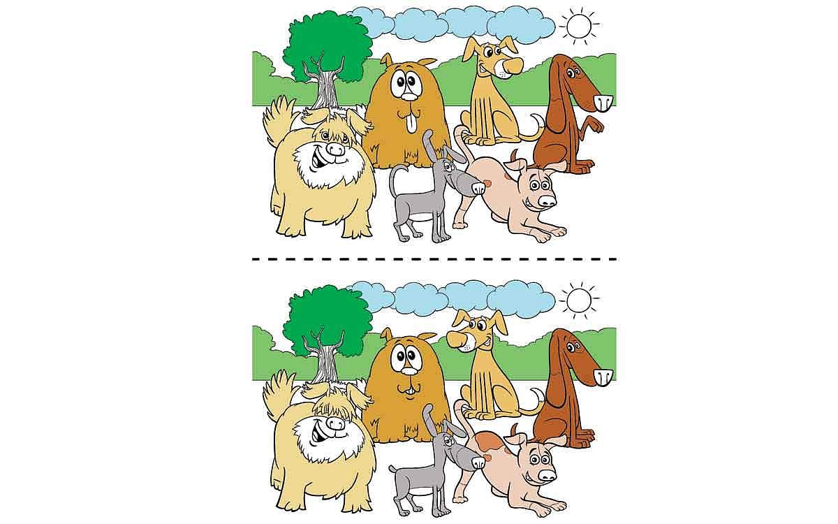 கண்டுபிடி   கண்ணே!