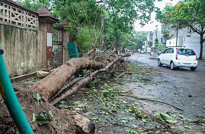 பிபா்ஜாய் புயலால் 80,000 மின்கம்பங்கள் பாதிப்பு: குஜராத் அமைச்சர்