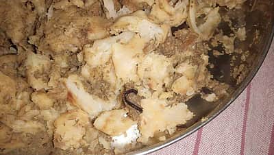 உணவகத்தில் வாங்கிய புரோட்டாவில் பூரான்: 2 பேர் மருத்துவமனையில் அனுமதி!