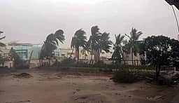 சூறைக் காற்றுடன் மழை! வயலூா் சுற்றுப் பகுதிகளில் வாழைகள் சேதம்! உரிய இழப்பீடு வழங்கப்படுமா?