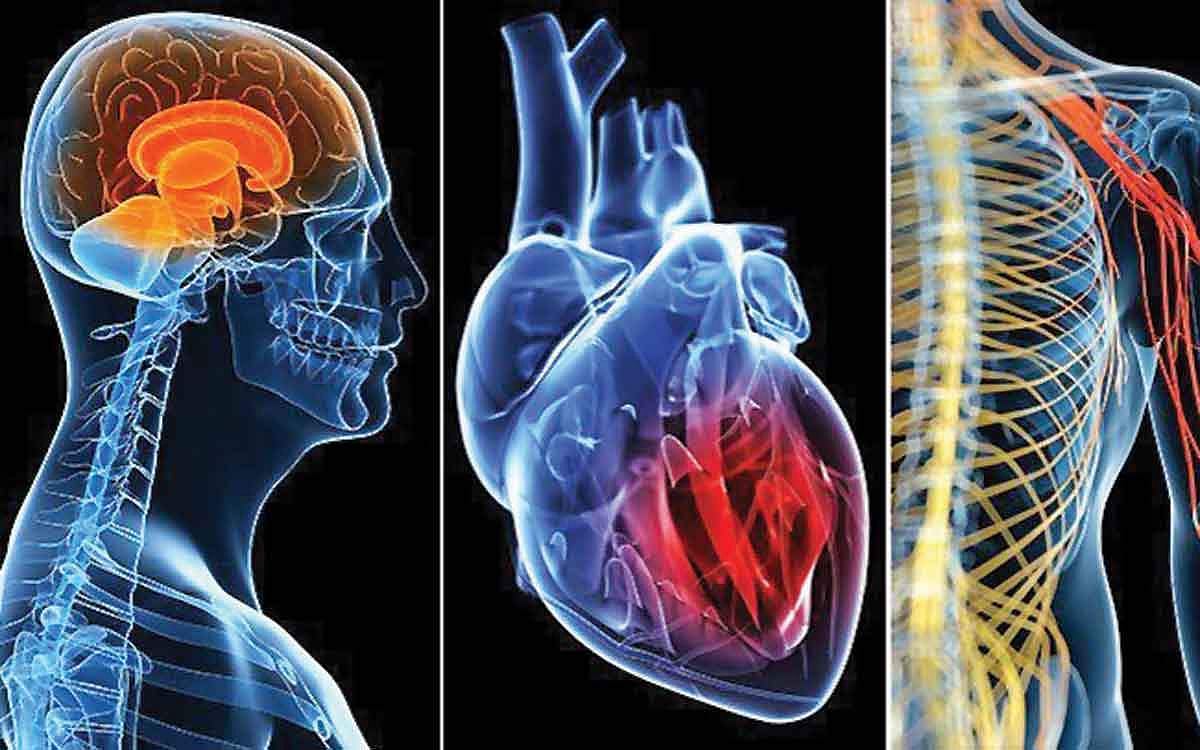 ஆயுள் காக்கும் ஆயுர்வேதம்: ஹார்மோன் குறைபாடு நீங்க.